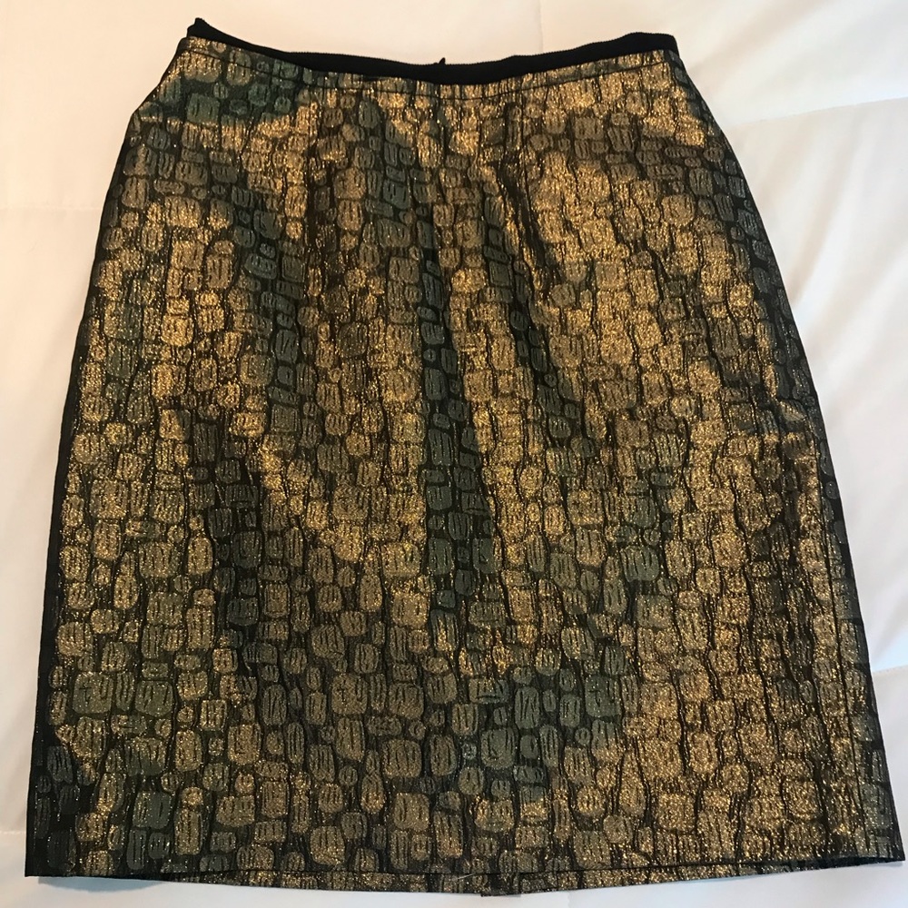 Anna Taylor Loft Skirt